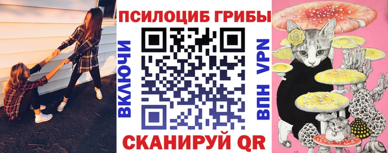 хочу   kraken ONION  Галлюциногенные грибы GOLDEN TEACHER  Чулым 